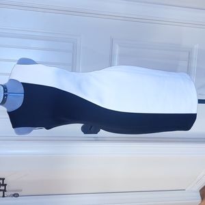 Calvin Klein sheath dress. Size 6 b&w